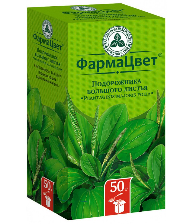 Plantain leaves 50gr Plantain leaves 50gr