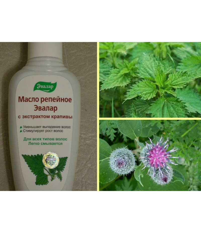 Burdock oil with nettle extract 100ml Burdock oil with nettle extract 100ml