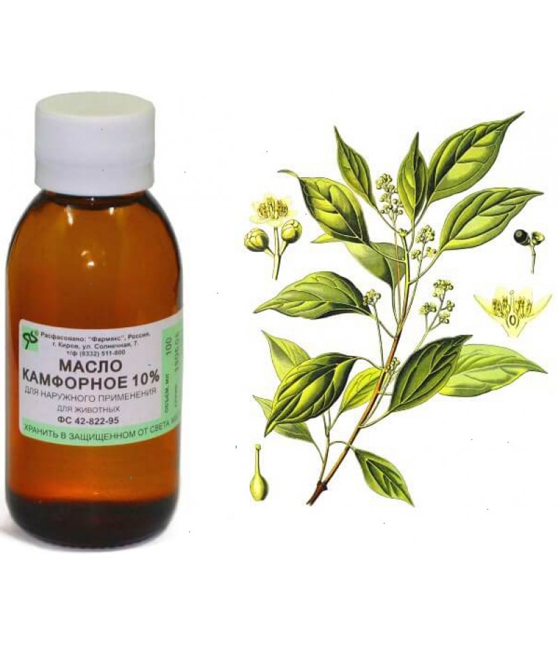 Camphor oil 10% 30ml Camphor oil 10% 30ml